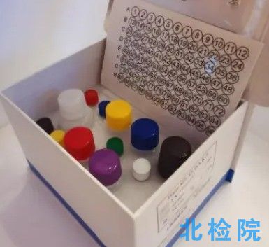 白蛋白測定試劑測試