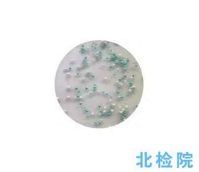 甘露醇高鹽瓊脂培養(yǎng)基測(cè)試